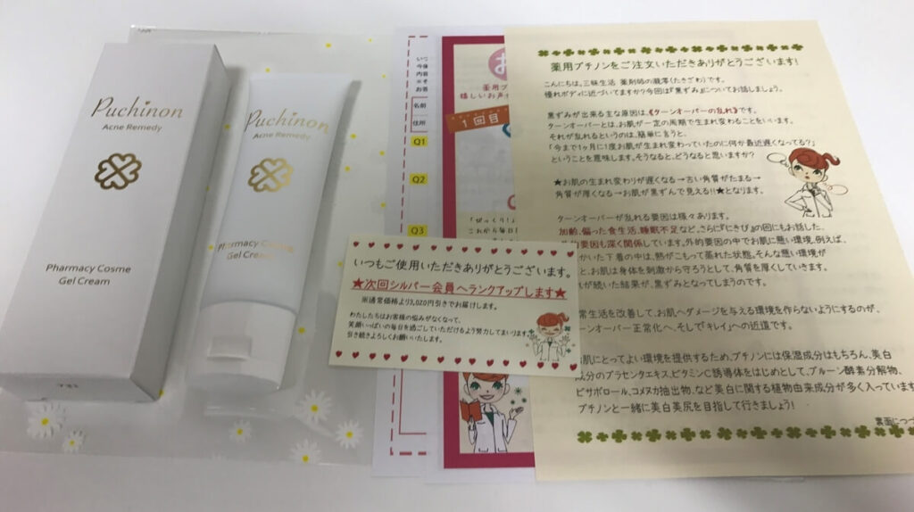 プチノン　送られてきたもの