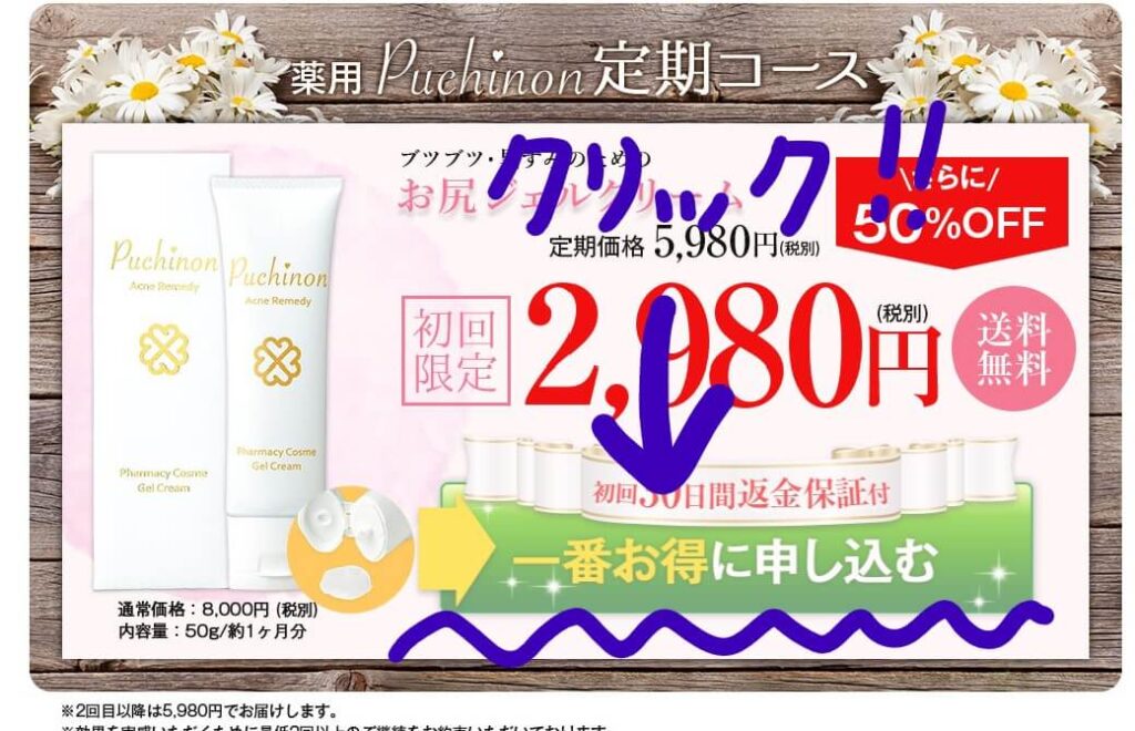 プチノンの購入方法 申し込みボタンをクリックする